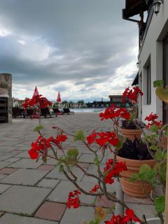 Aqua Club Elatis - Avrig - 8