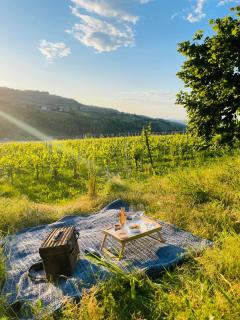 Cascina Piandamiane, soggiorno sostenibile e charme d'epoca nella natura delle Langhe - Rodello - 8