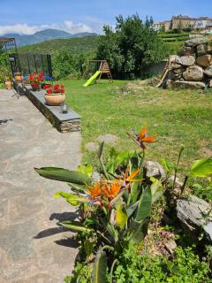 Chambre parentale - Rapale - 8