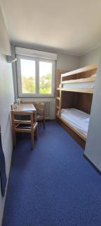 Logis Hotel Restaurant Le Cygne - 1