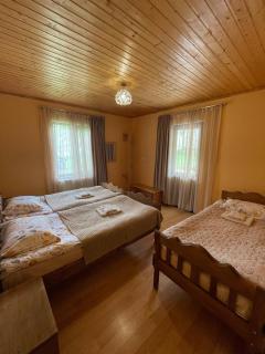 Guest House Victor - Zhabeshi - 6