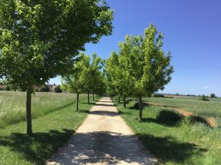 Fermette berrichonne - - 7