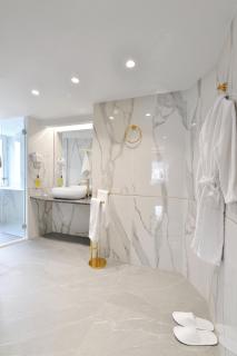 Acropolian Spirit Boutique Hotel - Atene - 7