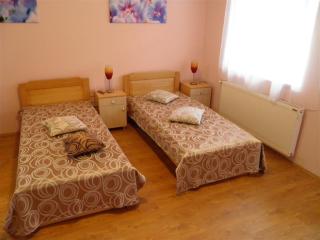 B&B Zmajevo Gnezdo 021 - Sremska Kamenica - 1