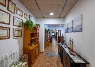 Hostal Doris - Adults Only - Colònia de Sant Jordi - 2