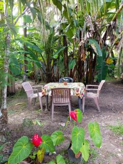 Cozy homestay - Polhena - 3