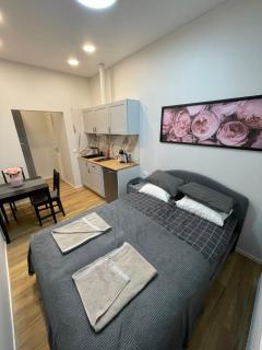 Heart of Vilnius Cozy Living - Vilnius - 3