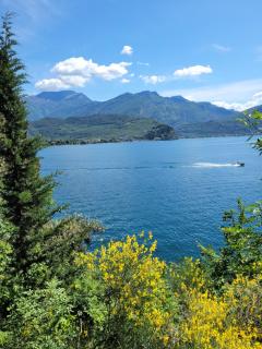 appartamento PEACE&LAKE - Riva del Garda - 7