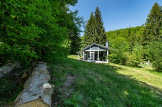4 Personen mit Sauna F2H3 - Ruhla - 3