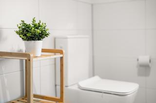 Oasis by Loftigo - Cozy Apartment mit Regendusche - Selfkant - 4