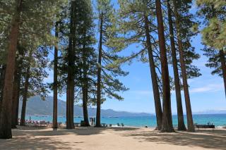 The Tahoe Nest - 7