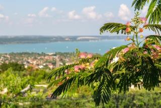 Azur Villa 1 - Panoramic Escape - Balatonalmádi - 2