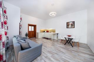 Hirscher Apartments - Brasov - 3