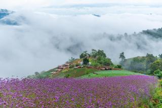 The View Homestay Monjam เดอะวิว โฮมสเตย์ม่อนแจ่ม - Mon Jam - 6