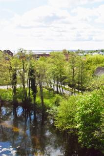 48 5 S Waterkant - Wangerland - 7