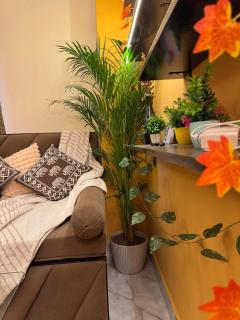 Boho Vibes Spacious Private Cozy space in Delhi - New Delhi - 4