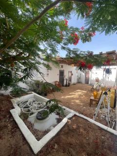Spacious Bedouin Home with Large Private Garden - 4