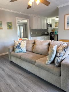 Beach Lovin/ 1 BR, handicap access, pets ok - Myrtle Beach - 2