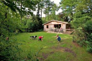 De Roek Vakantiebungalows - 1