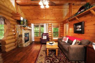 Bearly Lovers - Sevierville - 6