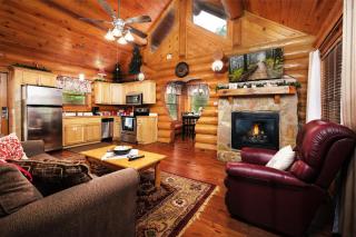 Bearly Lovers - Sevierville - 5