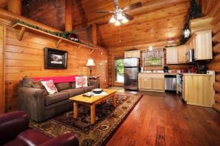 Bearly Lovers By Colonial Properties - Sevierville - 3