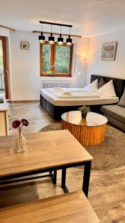 Waldtwin 1 Titisee (W11) + Hochschwarzwald Card - Titisee-Neustadt - 7