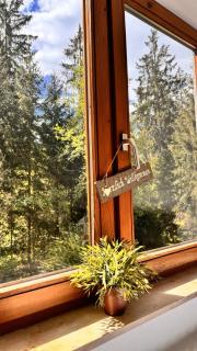 Waldtwin 1 Titisee (W11) + Hochschwarzwald Card - Titisee-Neustadt - 8