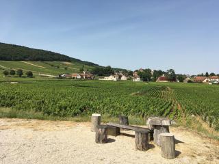 Petit studio indépendant, parking - Gevrey-Chambertin - 9