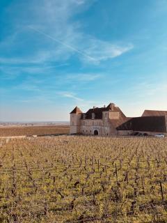 Petit studio indépendant, parking - Gevrey-Chambertin - 3