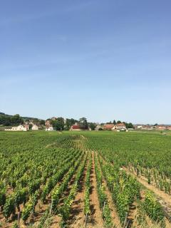 Petit studio indépendant, parking - Gevrey-Chambertin - 2