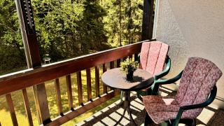 Waldtwin 2 Titisee (W12) + Hochschwarzwald Card - Titisee-Neustadt - 1