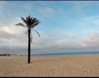 Hakuna Matata - San Vito Lo Capo - 9