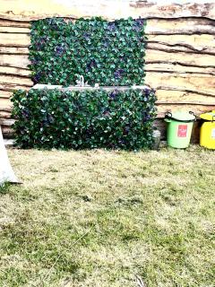 Wildside Camping & Glamping - 1