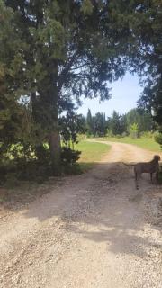 Villa Blanche - Arles - 8