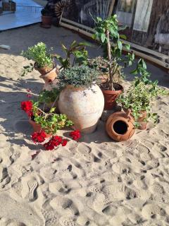 Diamond by the Sea - Sveti Vlas - 5