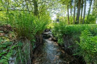 4 Personen mit Sauna F0H1 - 3