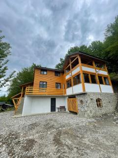 Cabana NEST - Bistricioara - 0