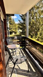Ferienwohnung Niki - Titisee-Neustadt - 1