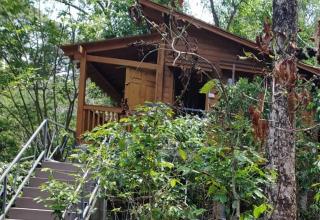 Luxury Wooden Cottage in Pennae Coffee Estate - 2