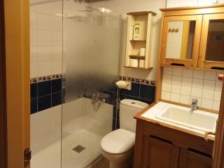 Apartamentos Valle de Tena - Biescas 3000 - Biescas - 5