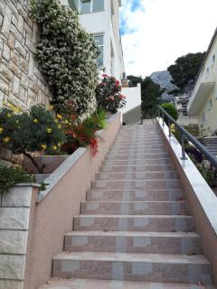 Apartments Matić - Baška Voda - 7