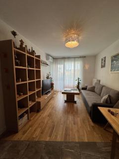 Apartament Wiatraczna - 6