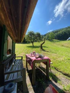 Halthäusl - auf der Alm - Neukirchen - 8