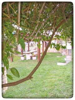 Apartamentos la Escuela en Cantabria - Villegar - 3