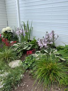 Ferienwohnung Schwarzwald Lodge - 6