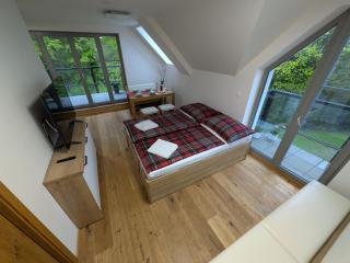 Apartmán A10 v centru Harrachova - Harrachov - 8