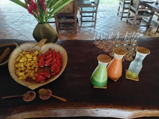 Savanna Orinoquia Lodge - Orocué - 7