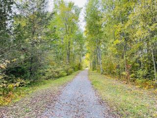 Cozy lakeside cottage-breathtaking views & fishing - Yarker - 5