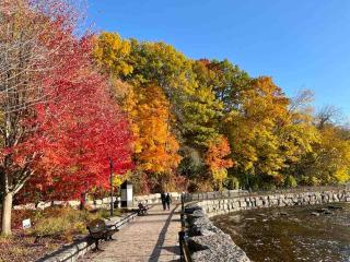 Cozy lakeside cottage-breathtaking views & fishing - Yarker - 3